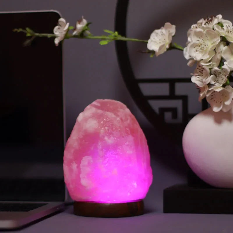 Lampe de Sel Himalaya — Vue 2