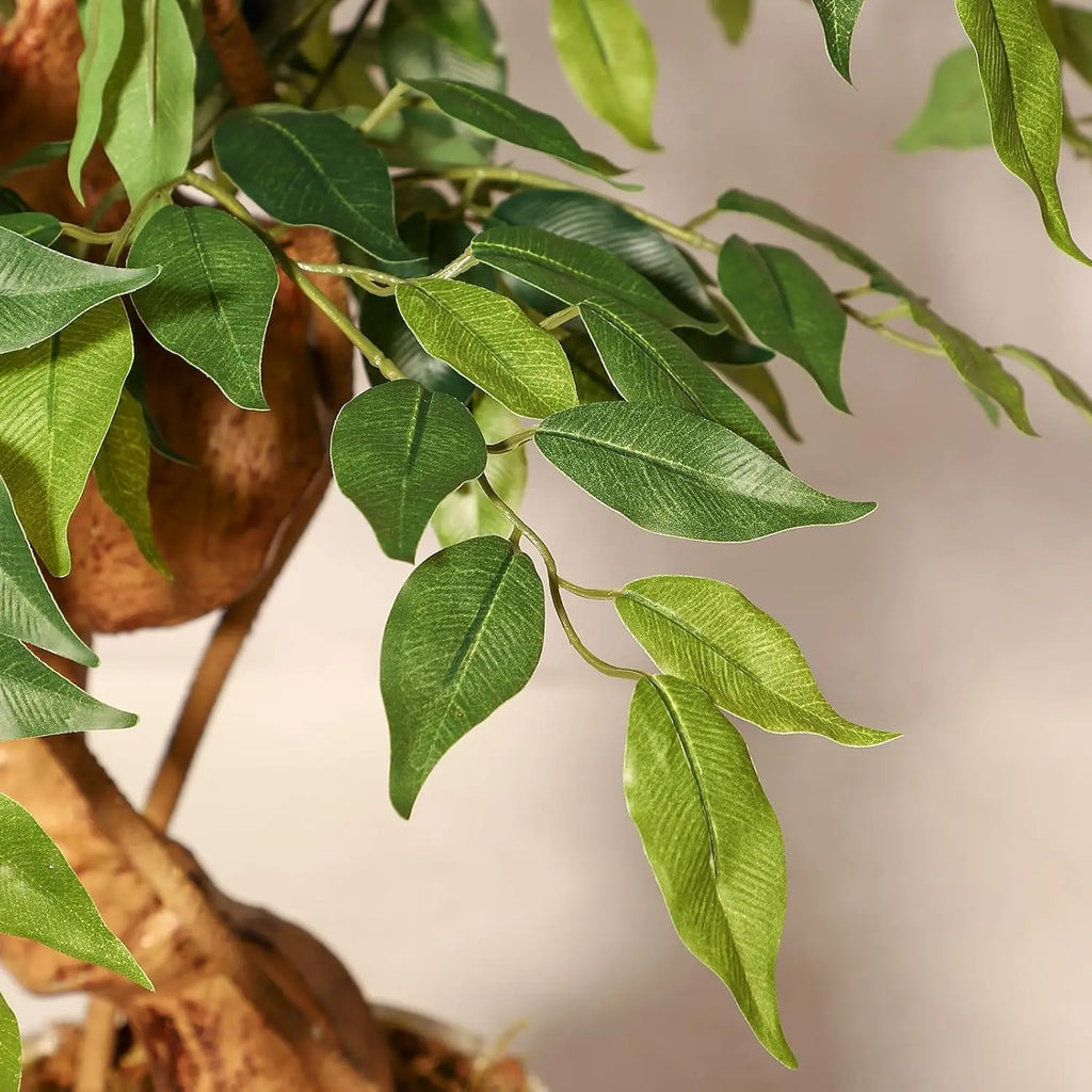 Ficus Artificiel Troncs Courbés — Plante Décorative Intérieur
