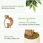 Ficus Artificiel Troncs Courbés — Plante Décorative Intérieur