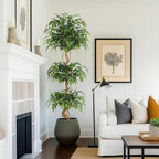 Ficus artificiel, détail feuillage et troncs courbés
