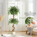 Ficus Artificiel Troncs Courbés — Plante Décorative Intérieur